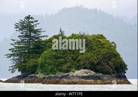 Île sur la côte du détroit de Johnstone, côte est, l'île de Vancouver, Colombie-Britannique, Canada, juillet 2012. Banque D'Images
