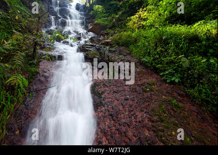 Chute d'eau saisonniers pendant la mousson. Koyna, Inde. Western Ghats Banque D'Images