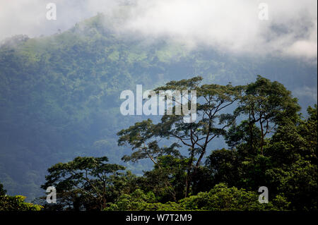 Vue sur le Togo hills. Amedzofe, au Ghana. Banque D'Images