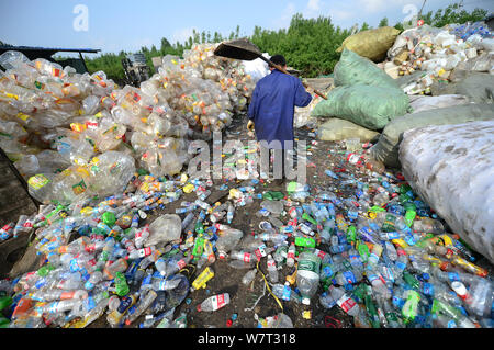 Un travailleur chinois promenades à travers des tas de bouteilles en plastique à la bouteille en plastique de recyclage, qui piège un homme, dans la ville de Ji'nan, East China' Banque D'Images