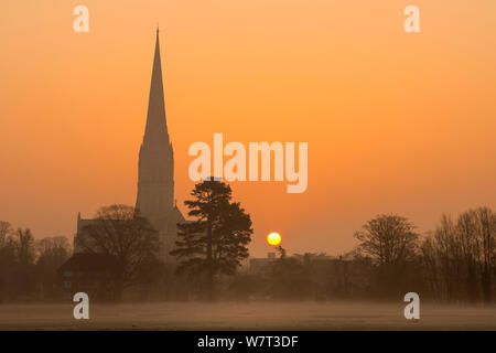 La cathédrale de Salisbury à l'aube, vu que depuis un pré, Wiltshire, Angleterre, Royaume-Uni, mars. Banque D'Images