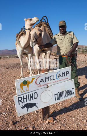 Save the Rhino Trust zass hotel membre de l'équipe de patrouille Hans Ganaseb avec des chameaux, région de Kunene, Namibie, Mai 2013 Banque D'Images