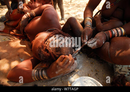 Les femmes Himba cheveux tresser les cheveux de chacun, Kaokoland, Namibie, septembre 2013. Banque D'Images