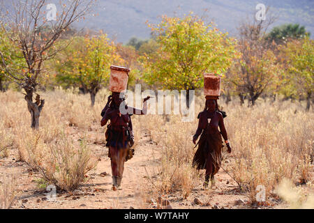 Les femmes himbas transportant des marchandises sur leur tête. Kaokoland, Namibie, septembre 2013. Banque D'Images