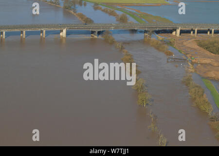 Pont de l'autoroute M50, avec River Severn et plaine inondable environnante au cours de février 2014 Inondations, près de Severn à Worcestershire, Angleterre, Royaume-Uni, le 7 février 2014. Banque D'Images