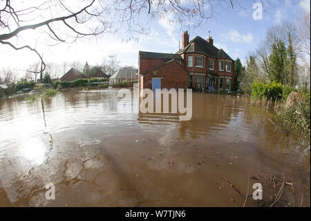 Accueil inondées par Février 2014 inondations avec propagation des détritus autour de jardin, Upton sur Severn, Worcestershire, Angleterre, Royaume-Uni, le 9 février 2014. Banque D'Images