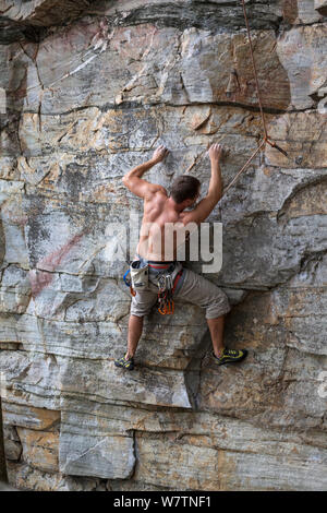 Rock Climber sur une route appelée 'tout grand Dude' le long de la Corniche en sentier Printemps Pilot Mountain State Park. North Carolina, USA, octobre 2013. Parution du modèle. Banque D'Images