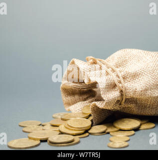 Sac de l'argent et des pièces relevant de lui. Concept de l'épargne et l'économie. Dépôt. Le contrôle des coûts. Le profit et la liquidité. La gestion de la trésorerie. La distribution de Banque D'Images