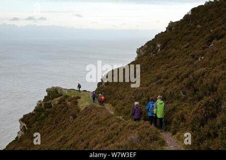 Chemin de la côte nord du Devon , les promeneurs sur les fortes pentes couvertes de bruyère donnant sur Canal de Bristol près de Heddon&# 39;s de la bouche, Devon, UK, janvier 2014. Banque D'Images