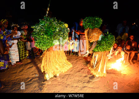 Danse traditionnelle exécutée par Tanda, Iemberem, village du Parc National de Cantanhez, Guinée-Bissau, décembre 2013. Banque D'Images