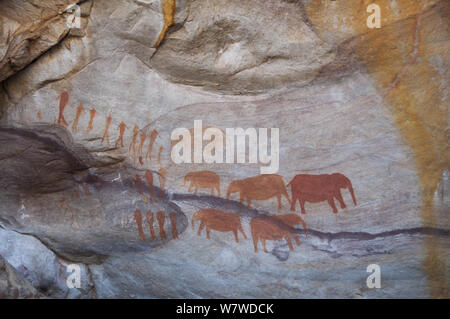 Les Bushmen San peinture rupestre d'éléphants et de personnes, près de grottes Stadsaal, Cederberg Conservancy, Afrique du Sud, août 2011. Banque D'Images