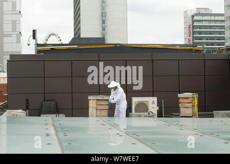 Apiculteur avec urticaire sur toit de la Manchester Art Gallery, Manchester, Angleterre, Royaume-Uni, juin 2014. Banque D'Images