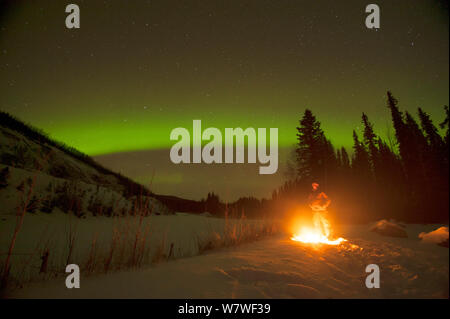 Northern Lights (aurores boréales) joliment brillant au-dessus d'un homme bénéficiant d'un bain de camp dans la zone de loisirs de l'État Chena River, à l'extérieur de l'intérieur de l'Alaska, Fairbanks, novembre 2013. Banque D'Images