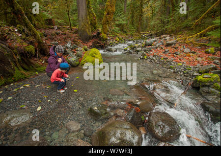 Bébé garçon jeune flotte feuilles sur un ruisseau dans la forêt avec sa mère, North Fork Amérindien Skokomish River, la péninsule Olympique, au sud-est de l'Olympic National Park, Washington, USA, novembre 2013. Parution du modèle. Banque D'Images