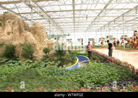 Vue d'un 26 mètres de long de ses sculptures en montagne à partir de 20 000 kilogrammes de plantes gingembre lors d'une expo à Huang county, ville d'Anyang, le centre de la Chine, il Banque D'Images