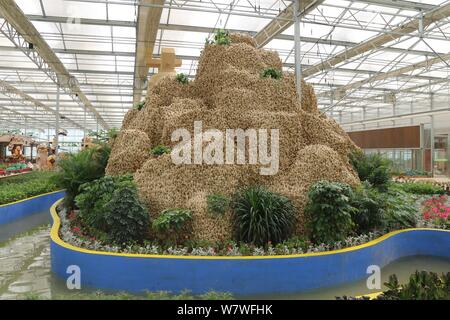 Vue d'un 26 mètres de long de ses sculptures en montagne à partir de 20 000 kilogrammes de plantes gingembre lors d'une expo à Huang county, ville d'Anyang, le centre de la Chine, il Banque D'Images