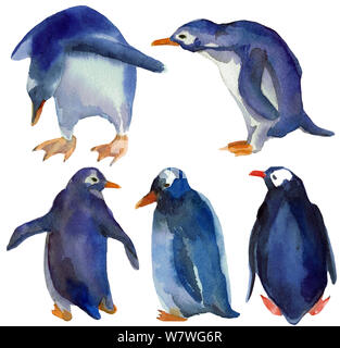 Dessiné à la main à l'Aquarelle illustration des différents types de pingouins bleus debout dans un groupe, isolé sur fond blanc. Pour les enfants Design illustration. Banque D'Images