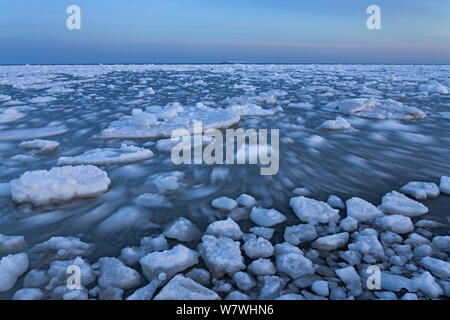 Déménagement de la glace de mer, îles de la Madeleine, golfe du Saint-Laurent, Québec, Canada, mars 2013. Banque D'Images