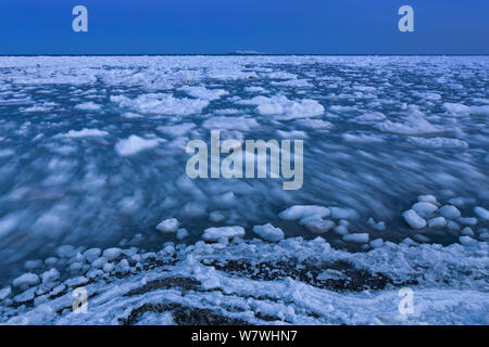 Déménagement de la glace de mer, îles de la Madeleine, golfe du Saint-Laurent, Québec, Canada, mars 2013. Banque D'Images