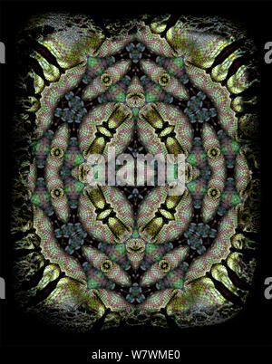 Motif kaléidoscope formé à partir de photo de Papes Viper (arbre) popeorum Trimeresurus échelles. Limitée pour un usage éditorial jusqu'en décembre 2015 Banque D'Images