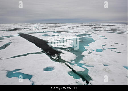 Vue aérienne de la banquise au large de la côte de l'île Wrangel, en ce qui concerne l'Est de la Russie, juillet 2012. Banque D'Images