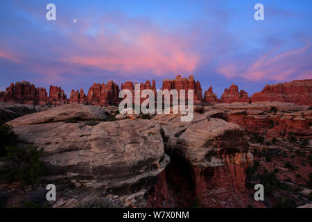 Dawn nuages sur Elephant Canyon, aiguilles Section, Canyonlands National Park, Utah, Colorado Plateau, avril 2010. Banque D'Images