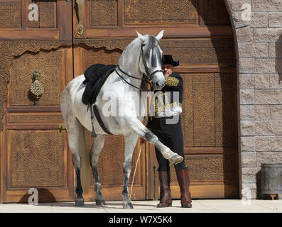 Horse Rider Manuel Trigo en costume traditionnel espagnol Andalou gris holding Mare, Phoenix, Arizona, USA. Février 2012. Parution du modèle Banque D'Images