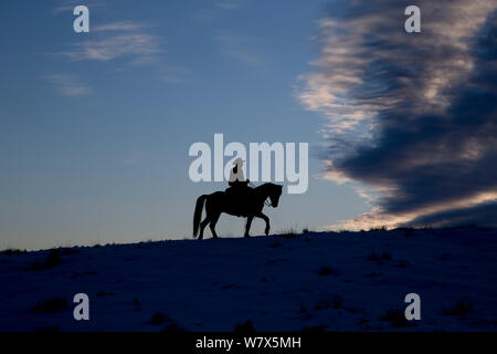 L'homme sur la silhouette du quarter horse au crépuscule, au ranch, Shell, Wyoming, USA. Février. Banque D'Images