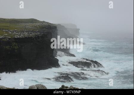 Storm battues face nord des falaises volcaniques sur l'Île Enderby. Groupe de l'île d'Auckland, Nouvelle-Zélande, février 2014. Banque D'Images