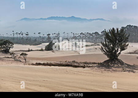 Praia da Gamboa, dans le domaine de la protection de la baleine noire. Les montagnes de la Serra do Tabuleiro (un parc d'État) visible à l'arrière-plan. Santa Catarina, Brésil, septembre 2010. Banque D'Images