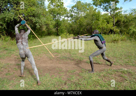 &# 39;Donga&# 39 ; stick fighters, Suri / tribu Surma. Le Donga les combats sont d'une prise permettant de résoudre les conflits entre tribus. La vallée de la rivière Omo, en Ethiopie, en septembre 2014. Banque D'Images