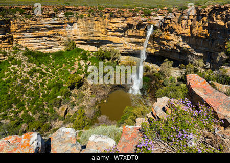 Cascade, Nieuwoudtville, Namaqualand, le nord de la province du Cap, Afrique du Sud, septembre 2012. Banque D'Images