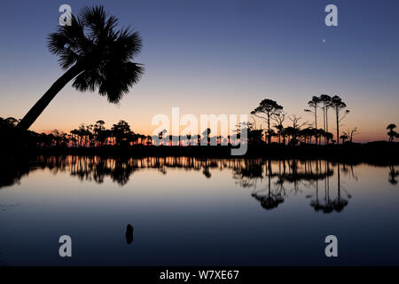 Lune et Soleil se lever sur la lagune à la chasse Island State Park, South Carolina, USA. Banque D'Images
