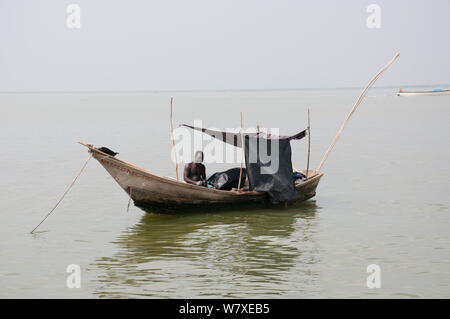 Les pêcheurs en bateaux sur le lac Albert à la frontière de la République démocratique du Congo et en Ouganda, République démocratique du Congo, Afrique, janvier 2012. Banque D'Images