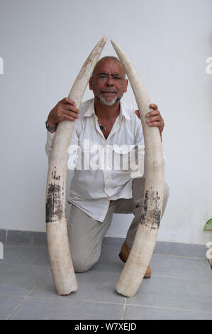 Photographe Steve O. Taylor avec défenses d'éléphant africain (Loxodonta africana) avant de brûler de l'ivoire, Libreville, Gabon, août 2012. Banque D'Images