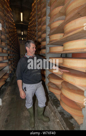 M. Perraudat fromagers en cave à fromages de Beaufort, Bourg-Saint-Maurice, Savoie, Rhone-Alpes, France, mai 2014. Banque D'Images