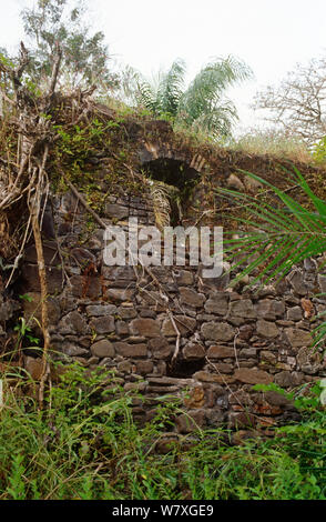 Mur de pierre à l'intérieur des ruines de l'île de Bunce fort de traite des esclaves. Sierra Leone, 2004-2005. Banque D'Images