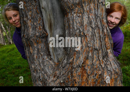 Deux adolescentes de peering derrière arbre, dans la forêt de pins, le long du sentier Padjelantaleden, Norrbotten, Lapland, Sweden. Parution du modèle Banque D'Images