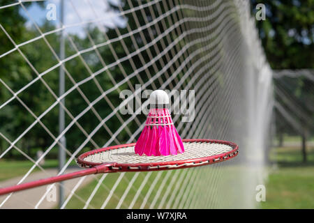 Volant à plumes rose sur un filet de badminton avec raquettes Banque D'Images