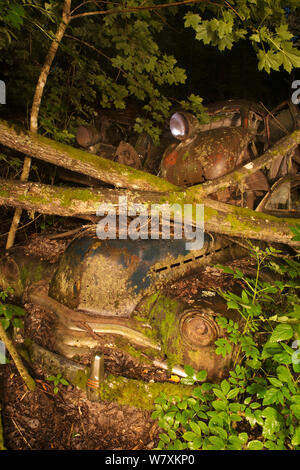 Vieille voiture de rouille sous les arbres tombés dans la nuit. Voiture Bastnas cimetière, Suède, juillet. Banque D'Images