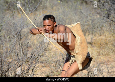 Naro San Bushman la chasse dans la brousse avec des arcs et des flèches, Kalahari, région de Ghanzi, Botswana, l'Afrique. Saison sèche, octobre 2014. Banque D'Images