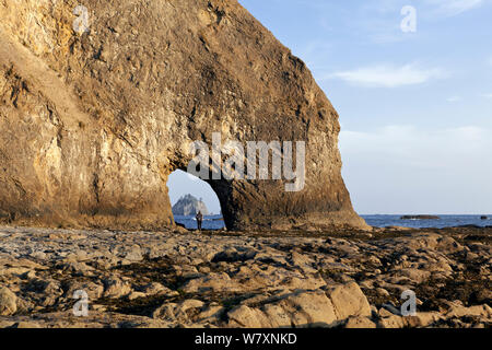 Trou-dans-le-mur, Rialto Beach, Olympic National Park, Washington, USA, mai 2014. Banque D'Images