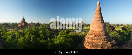 Temples de Bagan en début de matinée, Myanmar, novembre 2012. Banque D'Images