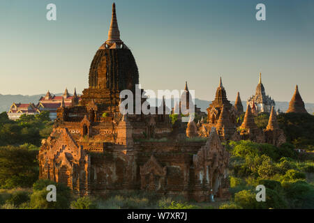 Temples de Bagan en début de matinée, Myanmar, novembre 2012. Banque D'Images