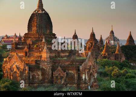 Temples de Bagan au Myanmar, à l'aube, novembre 2012. Banque D'Images