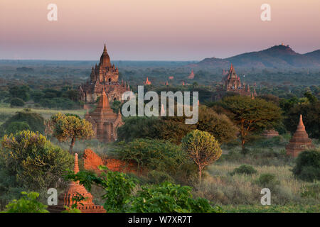 Temples de Bagan au Myanmar, à l'aube, novembre 2012. Banque D'Images