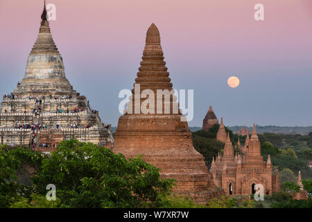 Temples de Bagan avec la lune à l'aube, Myanmar, novembre 2011. Banque D'Images