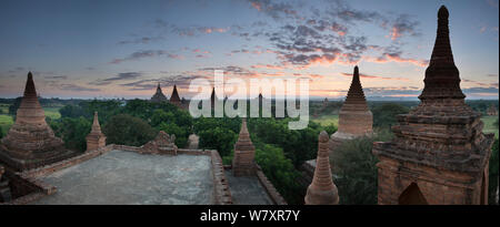 Temples de Bagan au Myanmar, à l'aube, novembre 2012. Banque D'Images