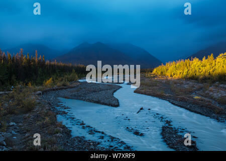 Ruisseau Quill avec la chaîne Auriol, St Elias, Réserve de parc national Kluane, Yukon, Canada, septembre 2013. Banque D'Images