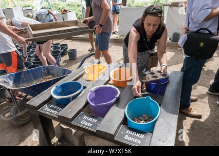 Jérusalem, Israël. 7 Août, 2019. Les visiteurs obtiennent l'expérience de première main à l'Emek Tzurim Mont du Temple Projet tamisage tamisage à travers les débris déterré par le Waqf musulman sur le mont du Temple et d'un dumping dans la vallée du Cédron. Second Temple de nombreux vestiges archéologiques ont été découverts. Les archéologues accusent le Waqf de se livrer à la destruction illégale de vestiges d'édifices juifs et des artefacts dans une tentative délibérée d'effacer liens juif historique au Mont du Temple. Les juifs religieux sont en train d'observer les "Trois Semaines" ou "Ben HaMetzarim', une période de deuil sur la destruction de Banque D'Images